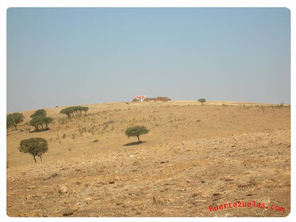 Cortijo De Navaquemá